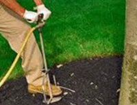 Deep-Root Feeding 